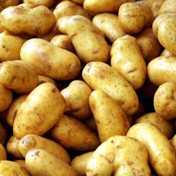Bio zemiaky nové 100g - kg